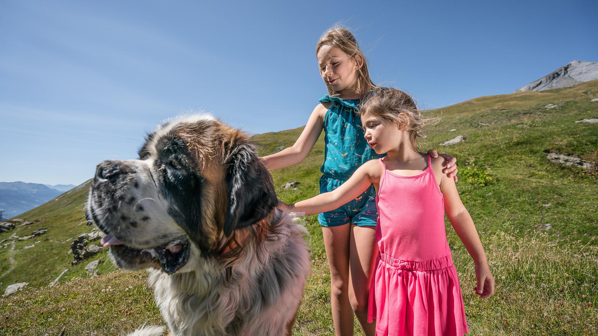 Destination La Rosière - Été - Saint-Bernard