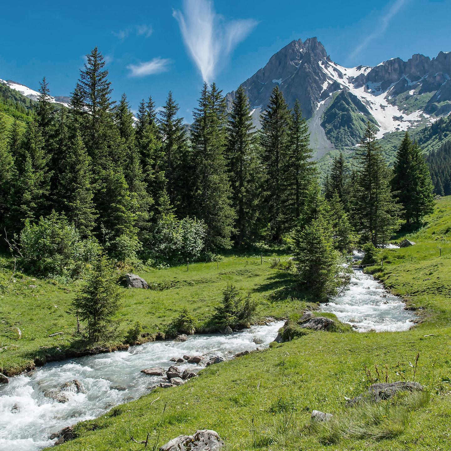 Destination Les Contamines-Montjoie - Été - Paysage