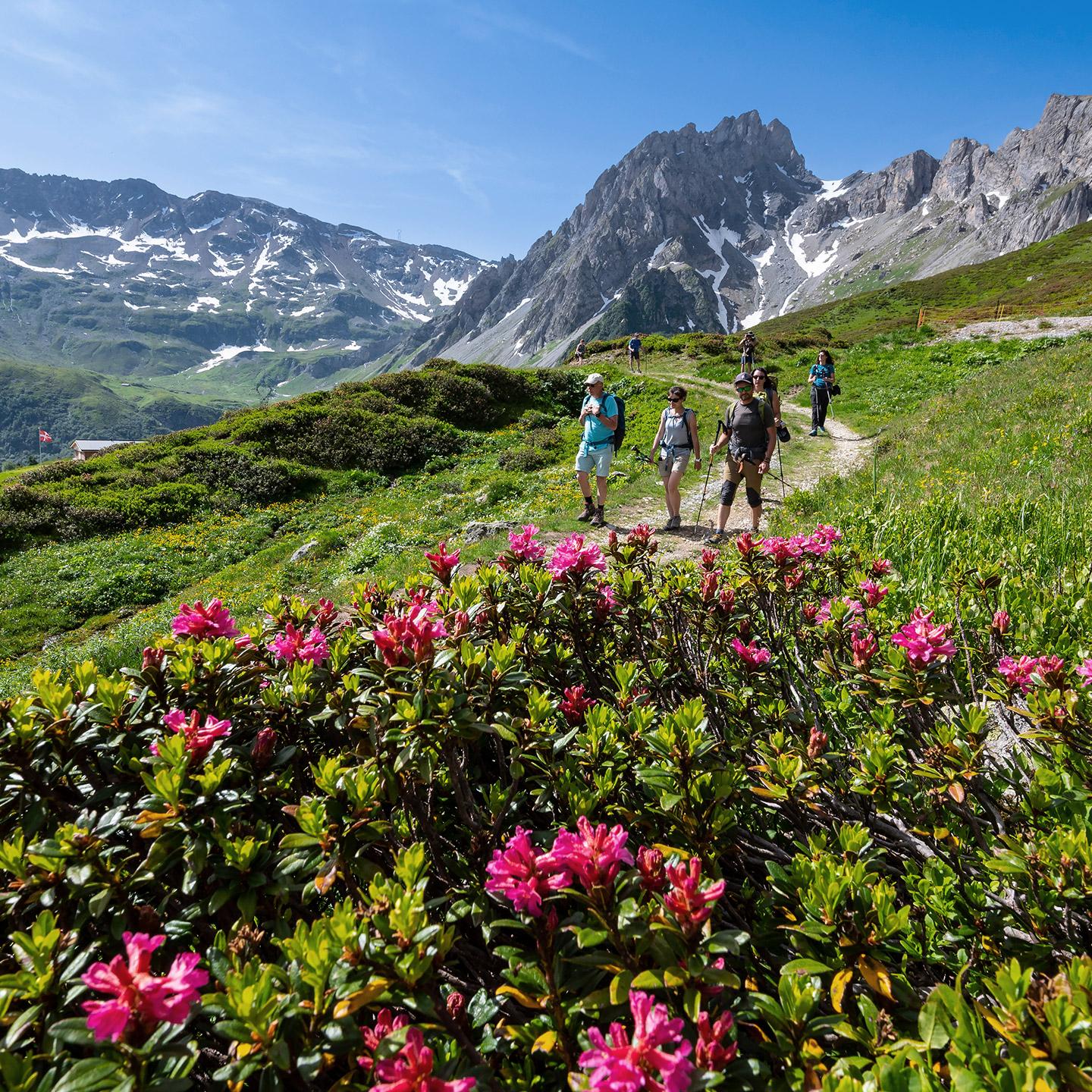 Les Contamines-Montjoie - Été - Randonnée