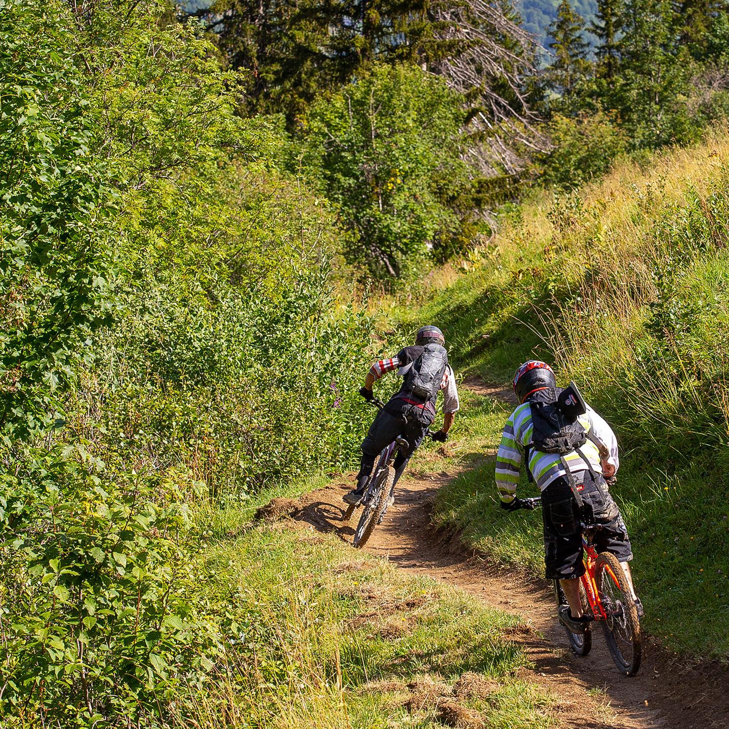 Valmorel - Été - VTT - Sentiers