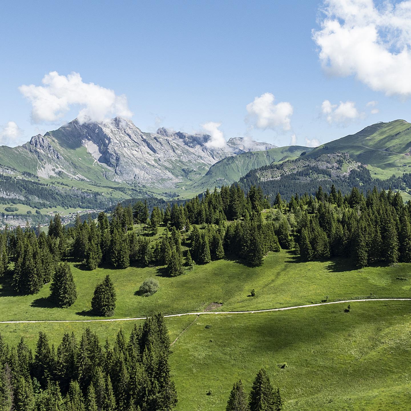 Saint Jean-de-Sixt en été