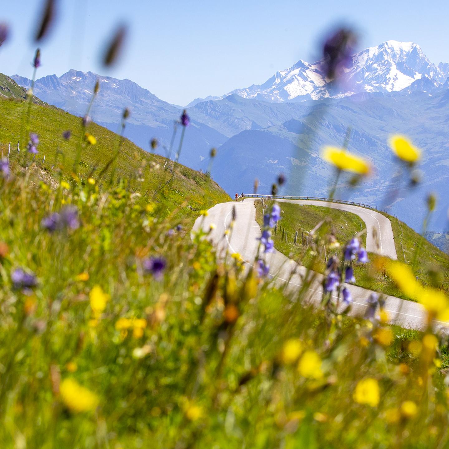 Vélo sur route à Valmorel