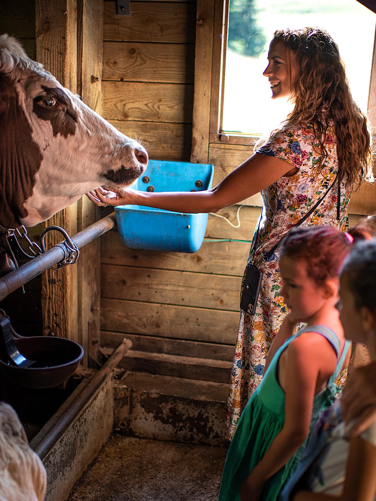 Famille à la ferme caressant une vache