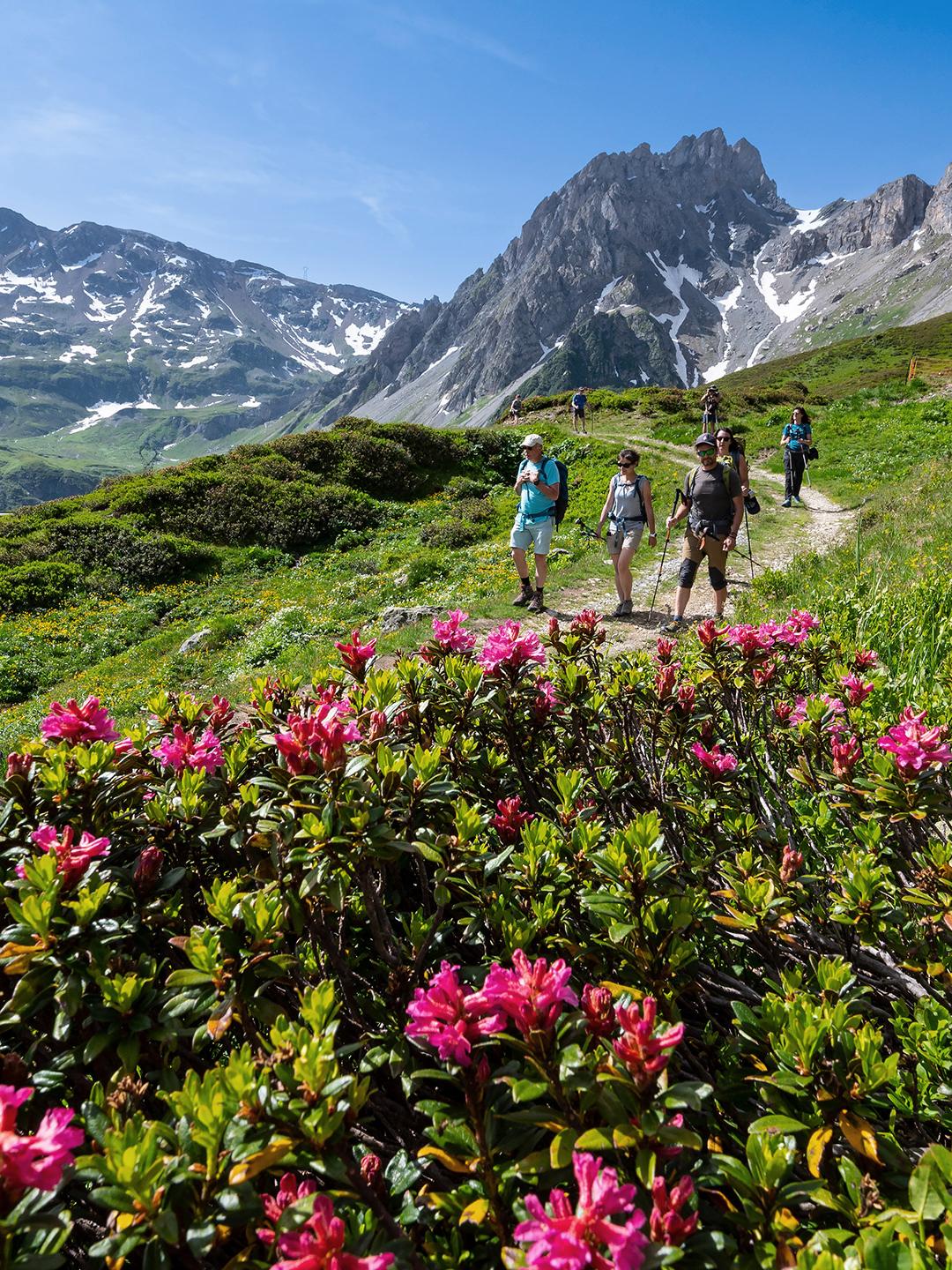 Les Contamines-Montjoie - Été - Randonnée