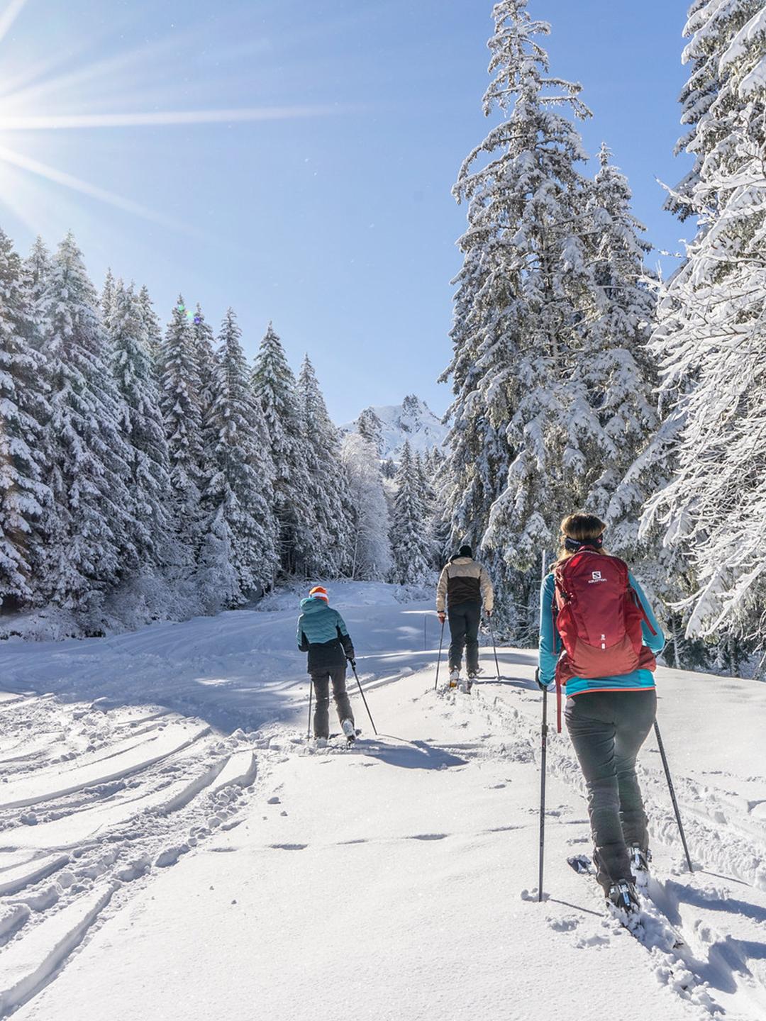 Hôtel Akoya - Valmorel - Ski