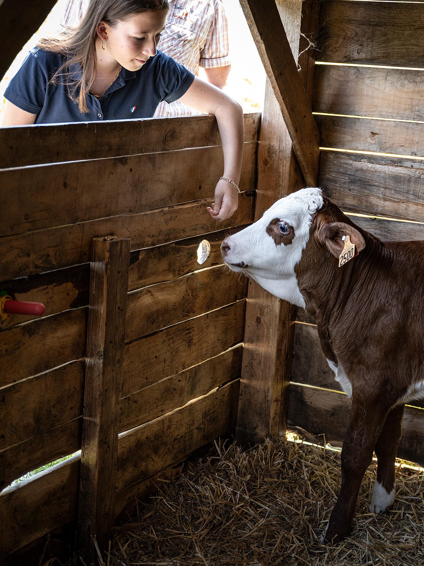 Jeune fille à la ferme caressant une vache