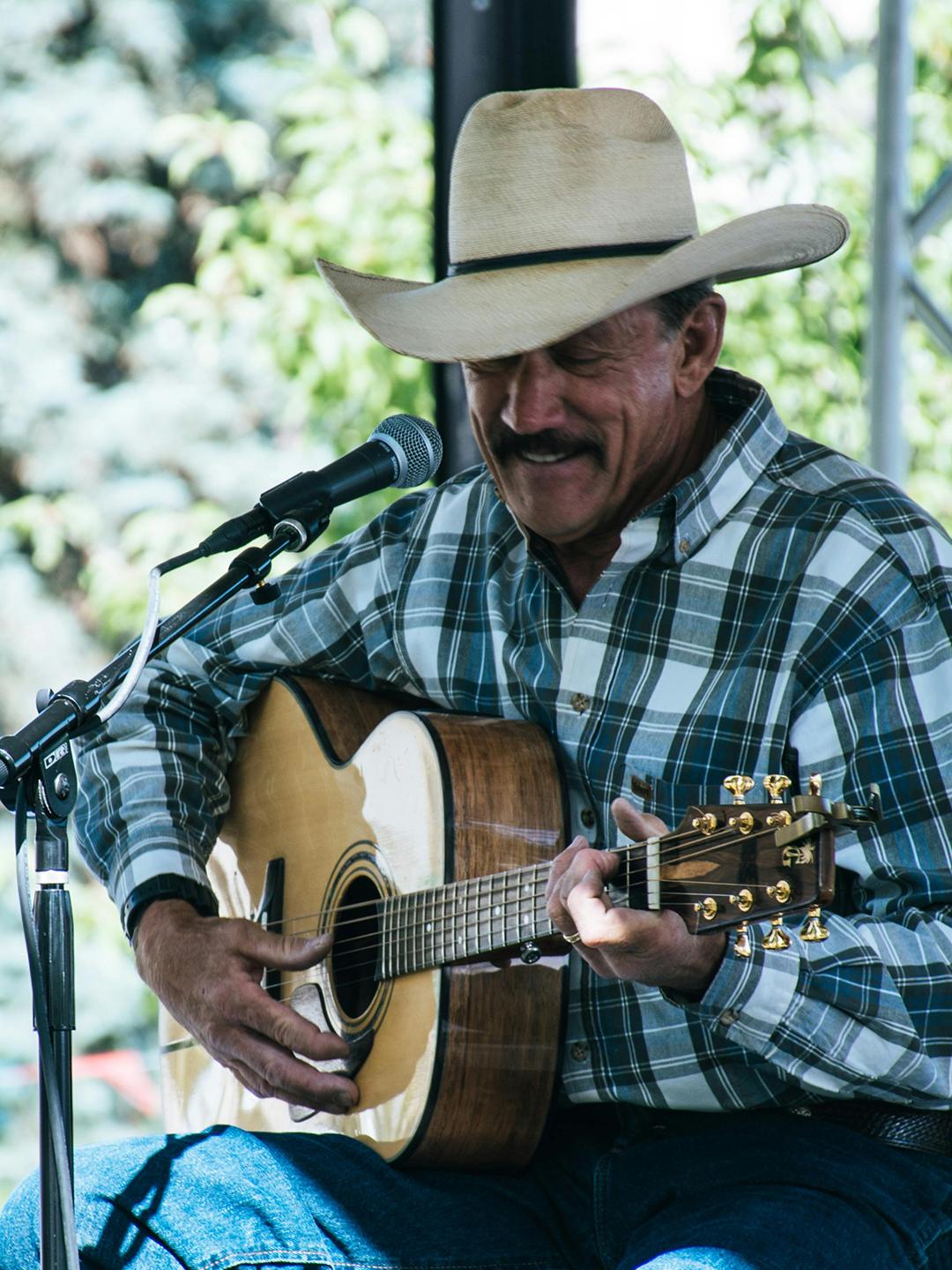 Chanteur de musique country lors d'une représentation en été