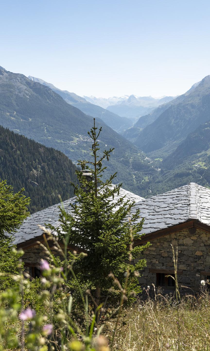 La Rosière - Panorama sur la vallée