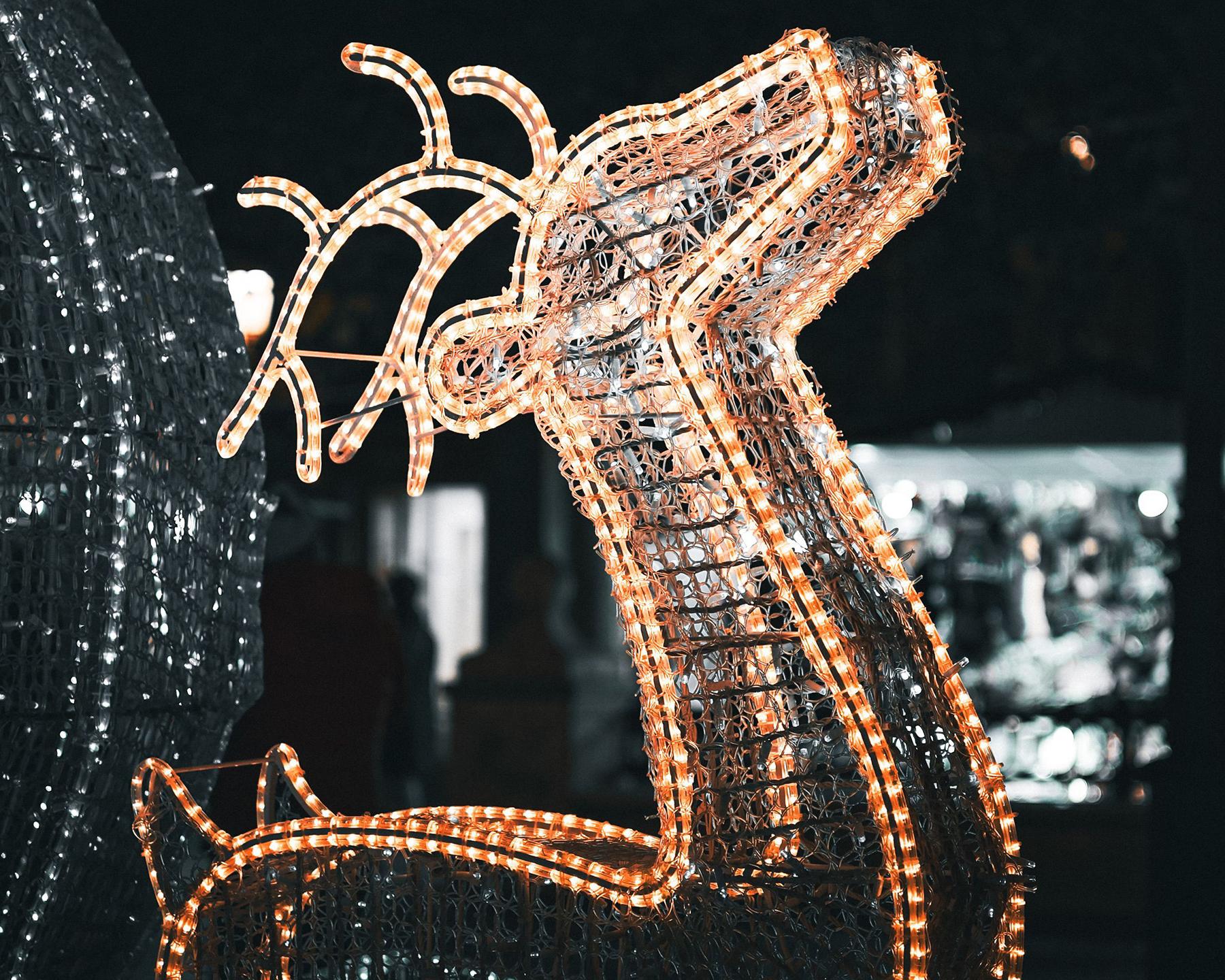 Illumination de Noël