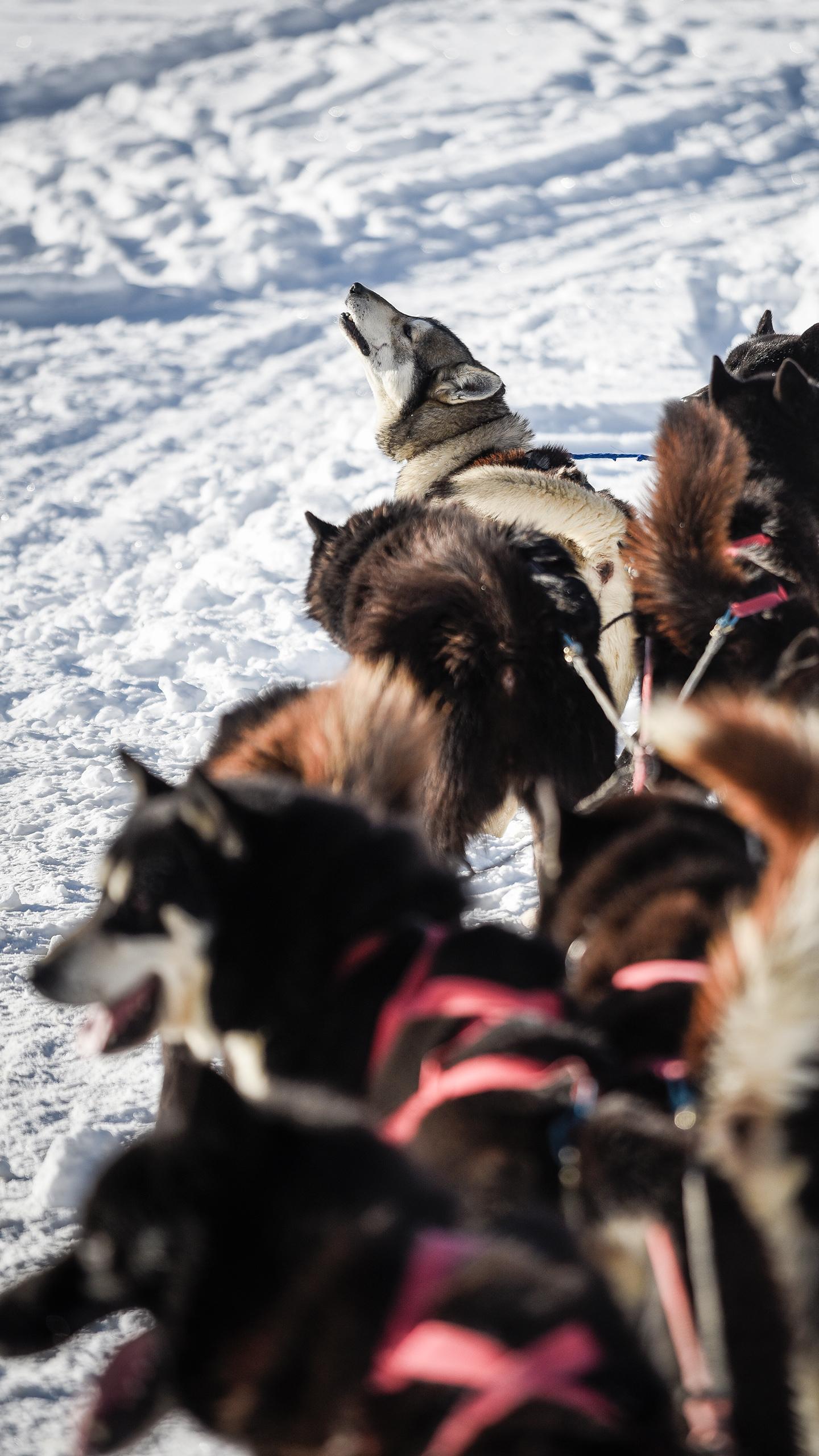 mgm-exclusivite-le-grand-bornand-ferme-de-juliette-activites-2-www.aravis.com-david-machet.jpg