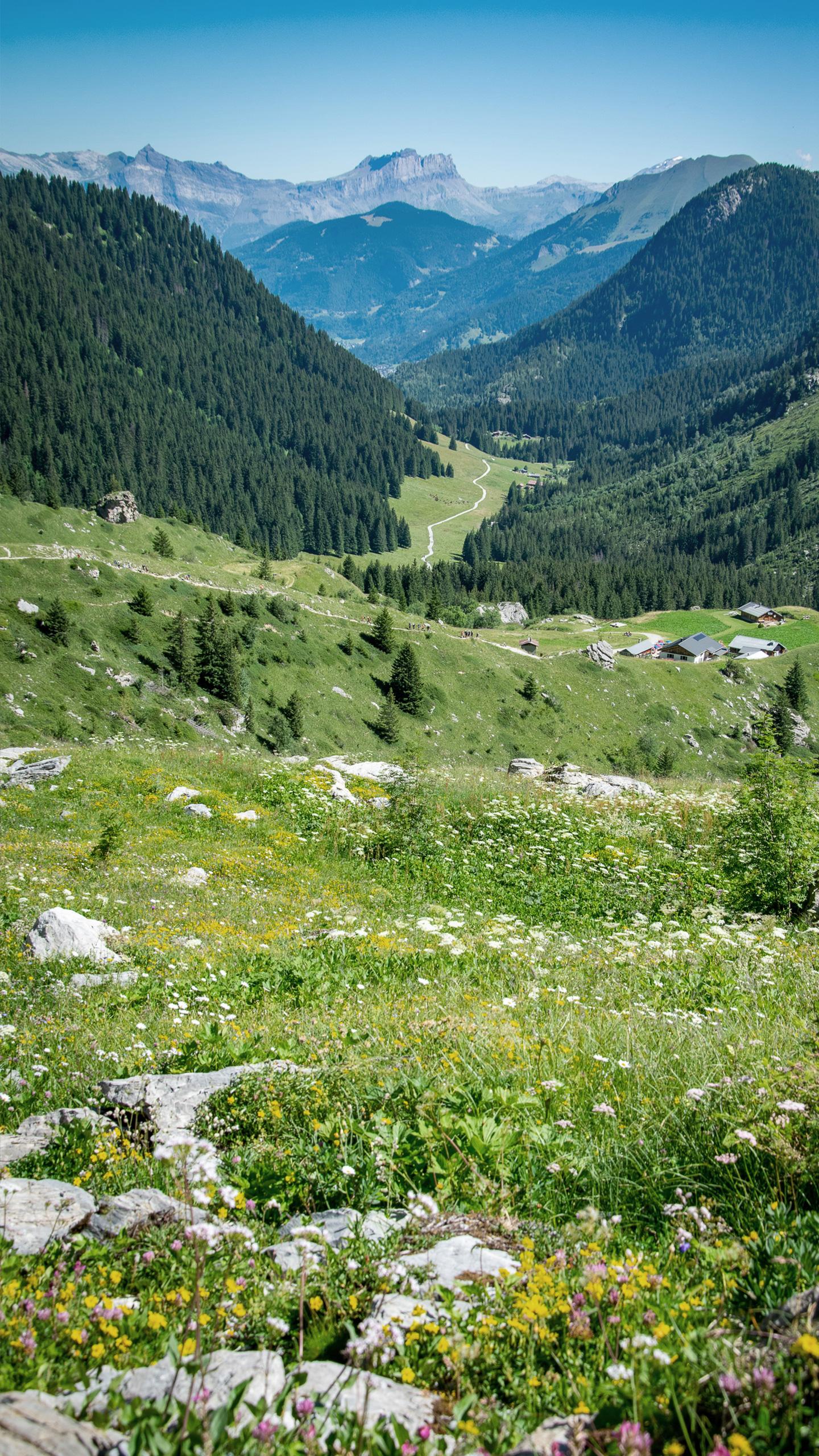 Les Contamines-Montjoie - Été - Nature