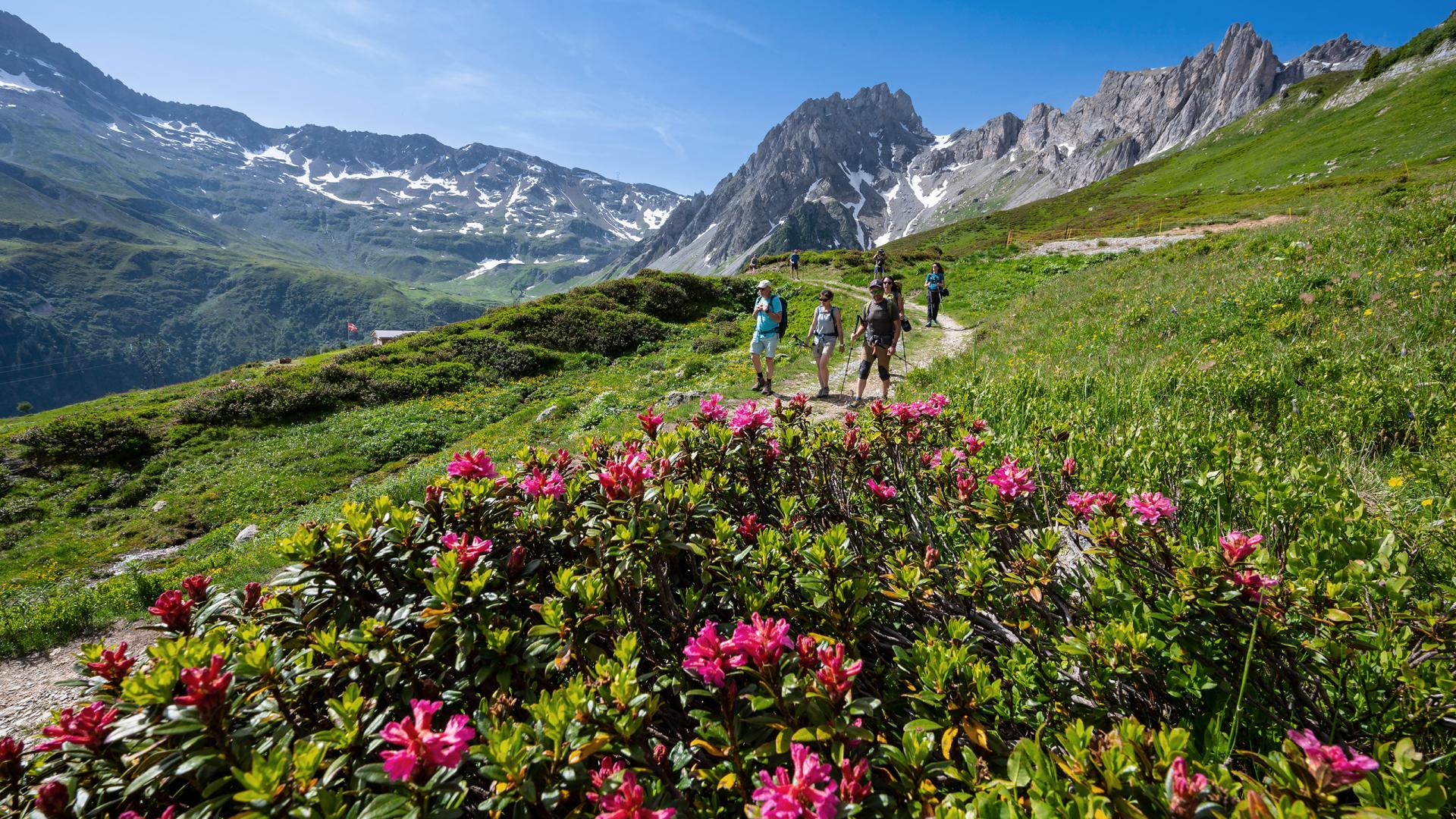 Les Contamines-Montjoie - Été - Randonnée