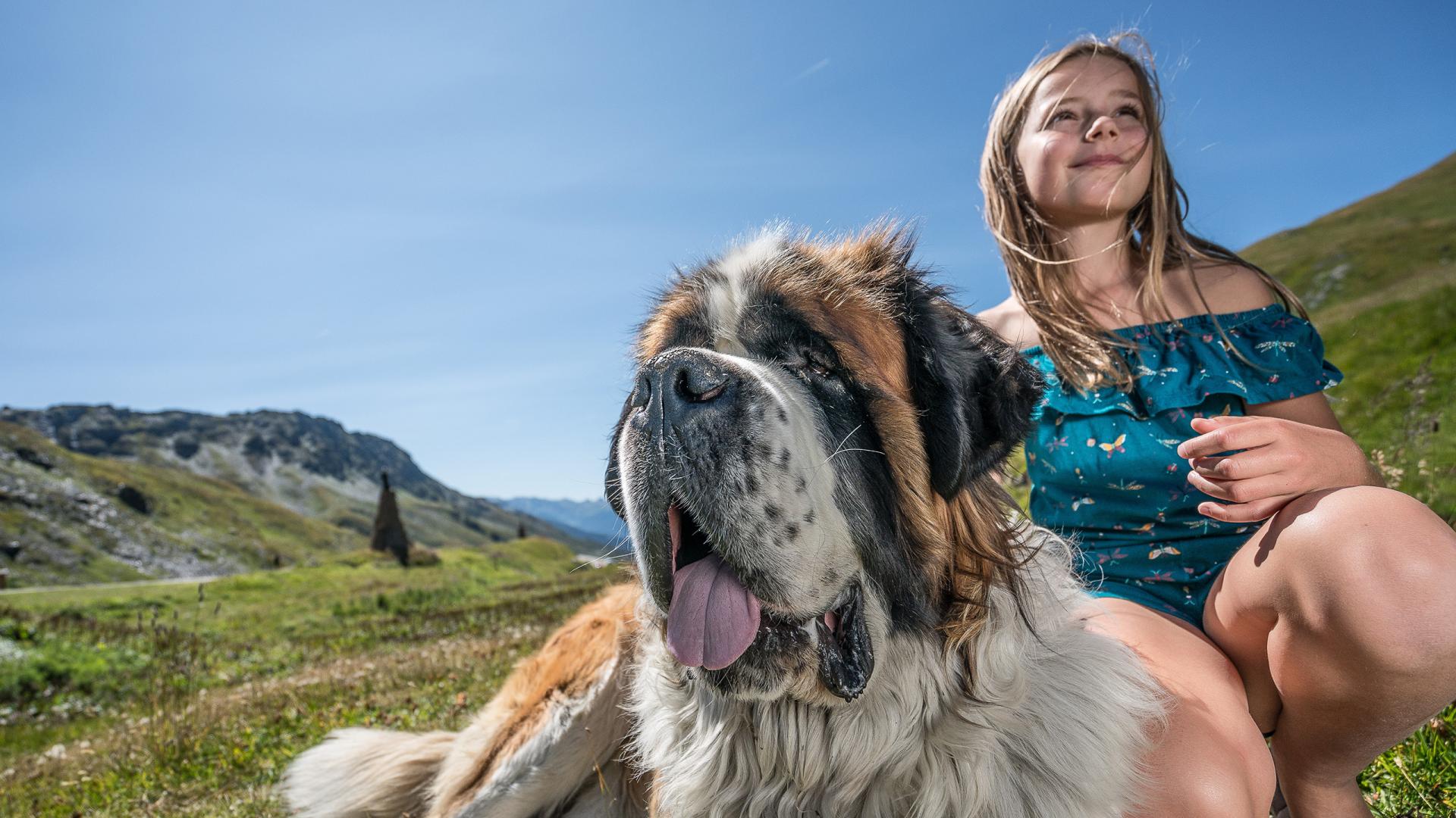 La Rosière - Été - Saint-Bernard