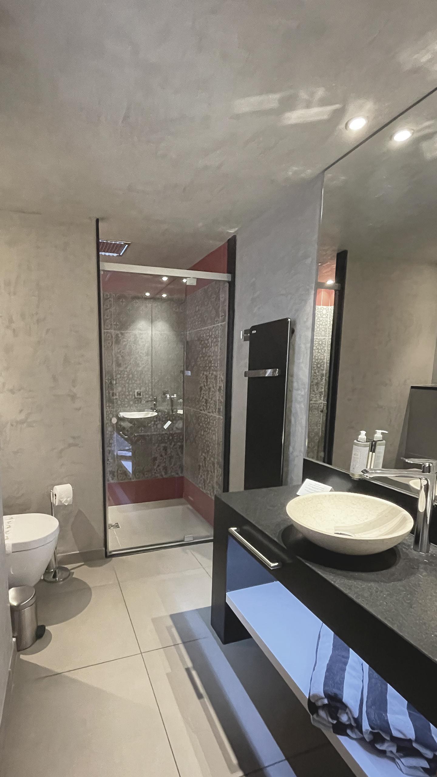 Hôtel Alexane - Suite Appartement Exécutive Mezzanine - Salle de bains - Douche