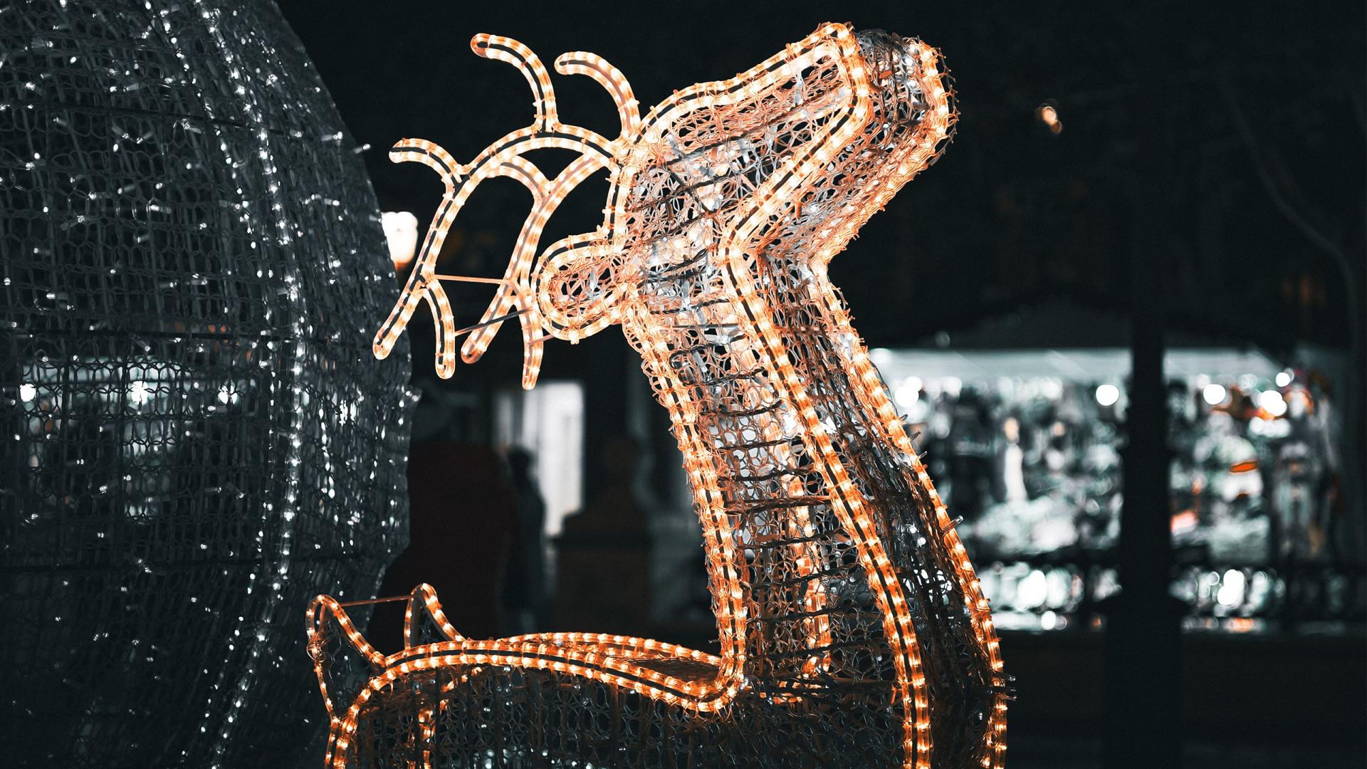 Illumination de Noël