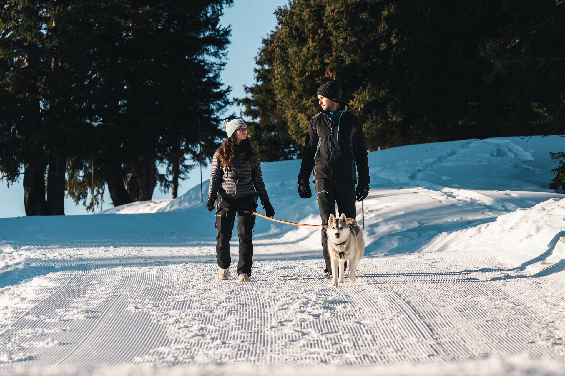 mgm-destination-flaine-carrousel-3-ot-flaine-mathis-decroux.jpg