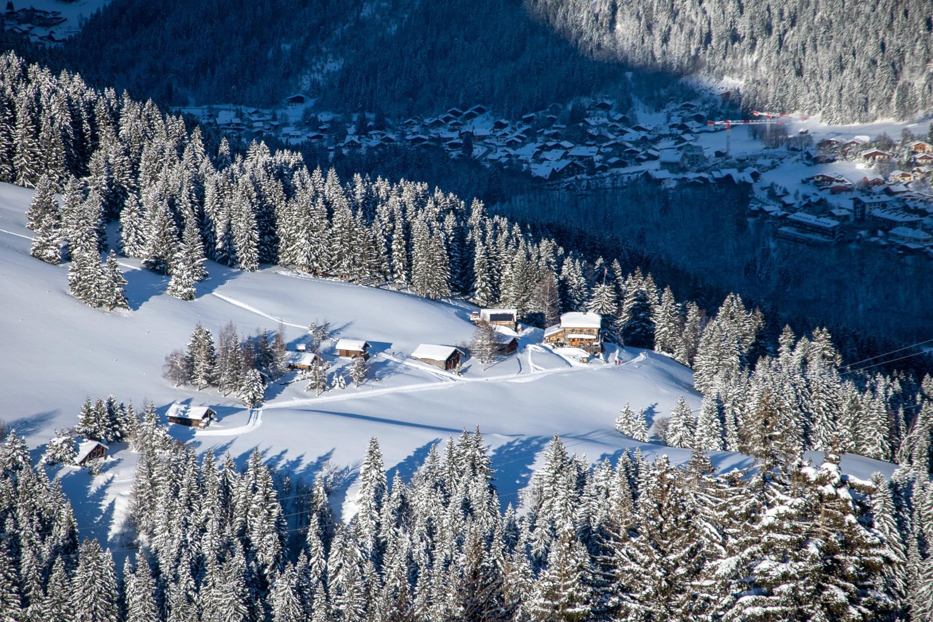 Chiens de traîneau  Les Contamines Montjoie, le village nature au pied du  Mont-Blanc