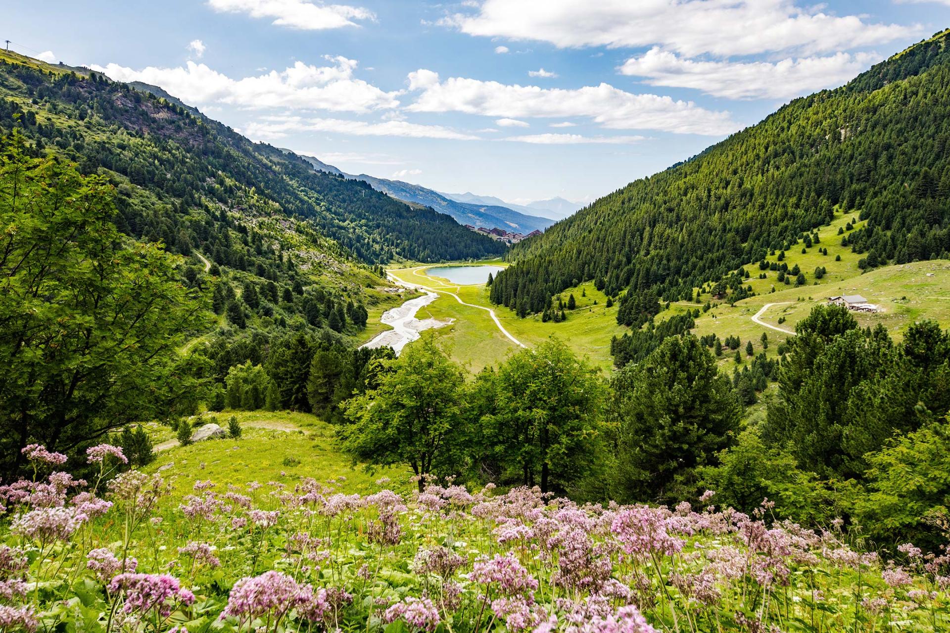 Destination Méribel - Été - Paysage