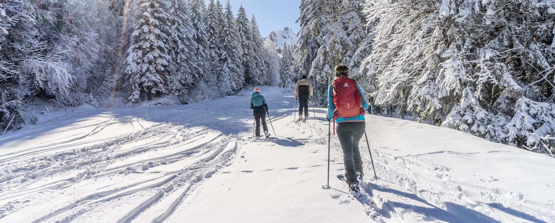 Valmorel - Ski